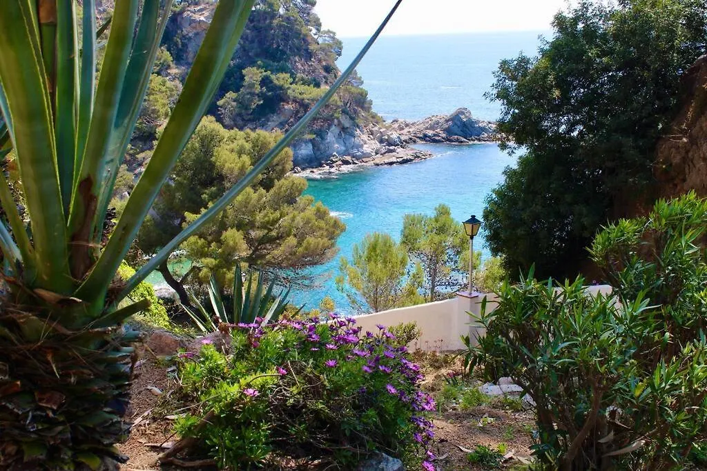 Estudio A 100M De La Playa Tossa de Mar Appartamento